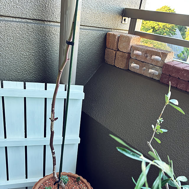 koshiregutyoさんの部屋
