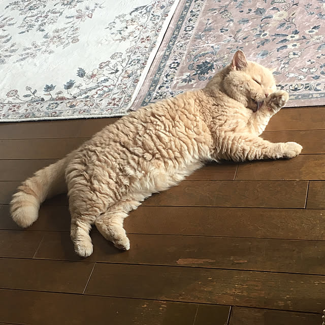 naokoさんの部屋
