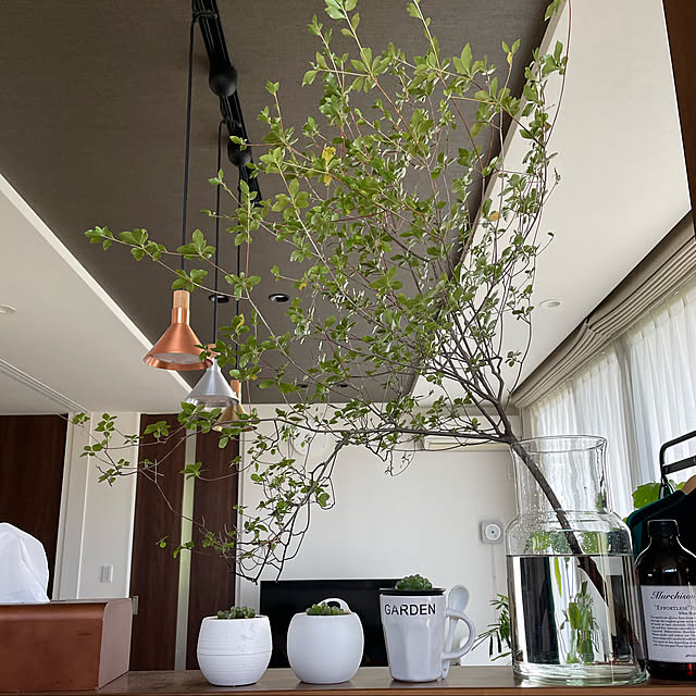 シンプル/シンプルが好き/カメラマーク消し/植物のある暮らし/ドウダンツツジ...などのインテリア実例 - 2022-07-31 11:43:13