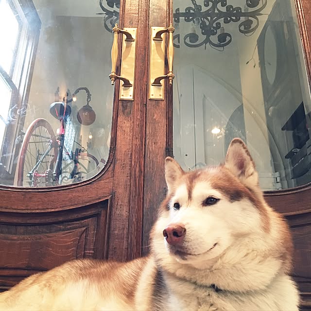 faith_kamakuraさんの実例写真