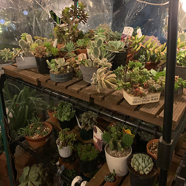 Aqettyさんの部屋