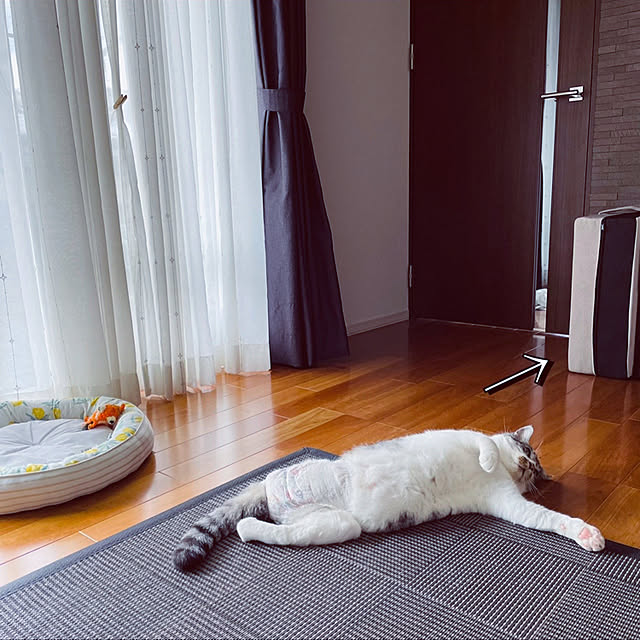 ALPSさんの実例写真