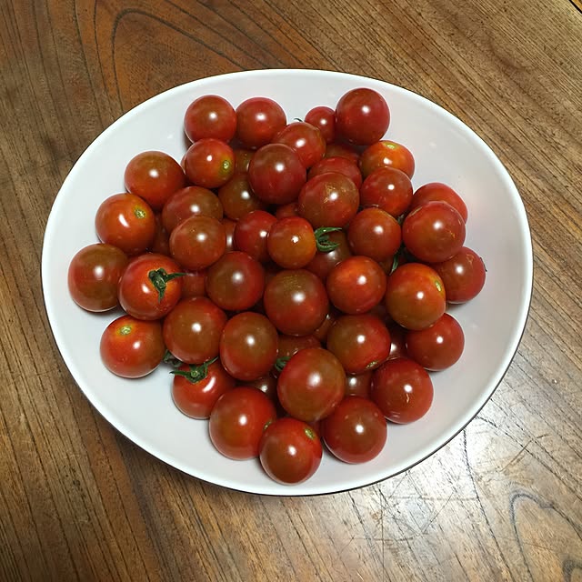teraさんの実例写真