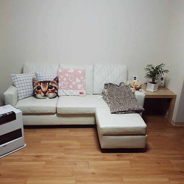 guricoさんの実例写真