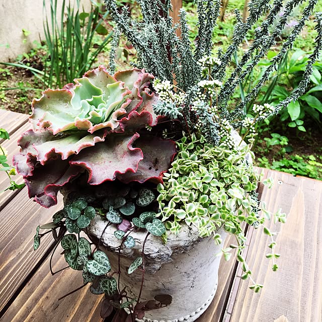 HappatoHanaさんの実例写真