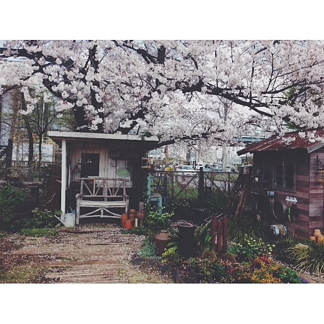 実例写真