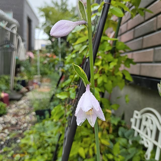 kiraさんの部屋