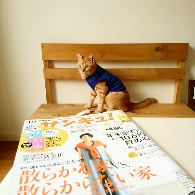 mayutan.さんの実例写真
