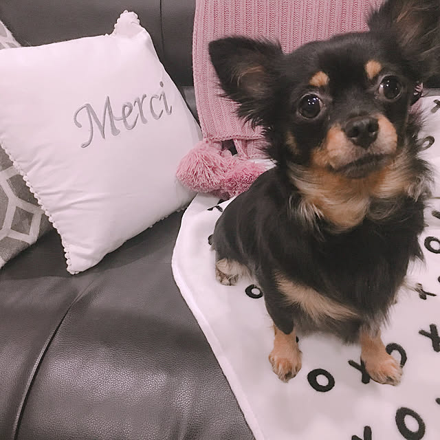 miitanさんの実例写真