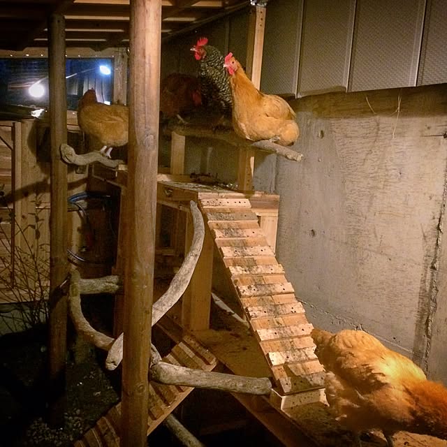 fukumomo3_photoさんの実例写真