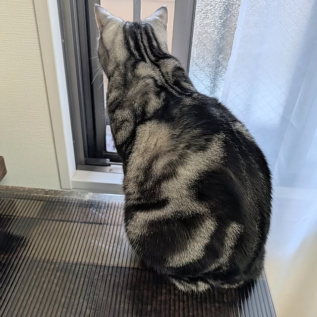 lovepeaceさんの部屋