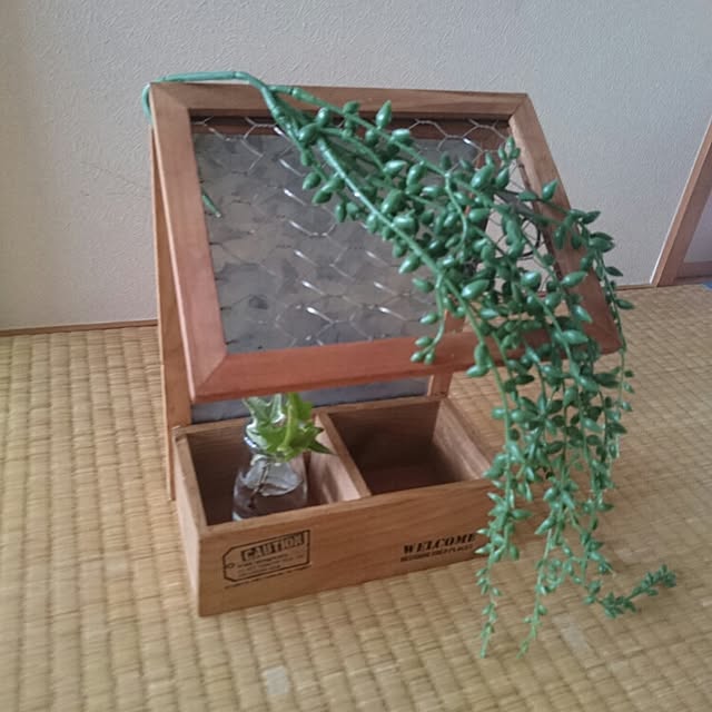 miyuさんの実例写真