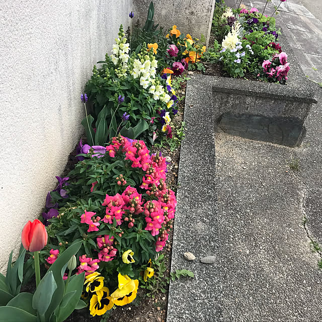tommysobacさんの実例写真