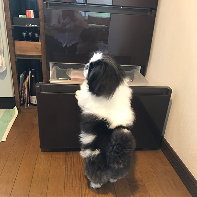rinaさんの実例写真