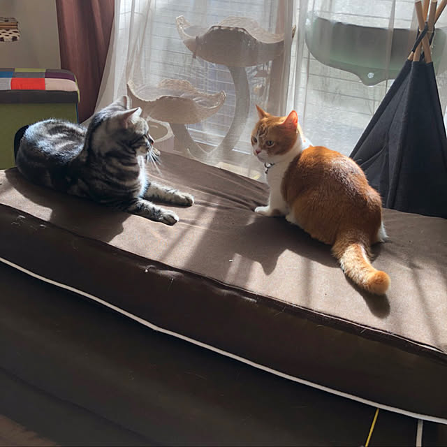 KotarouKunさんの実例写真