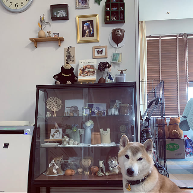 kotatsuさんの実例写真
