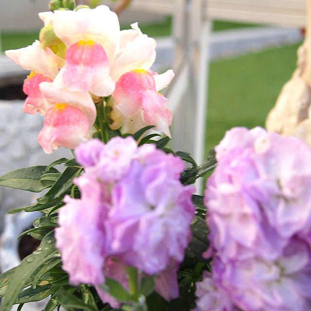 nekotaさんの部屋