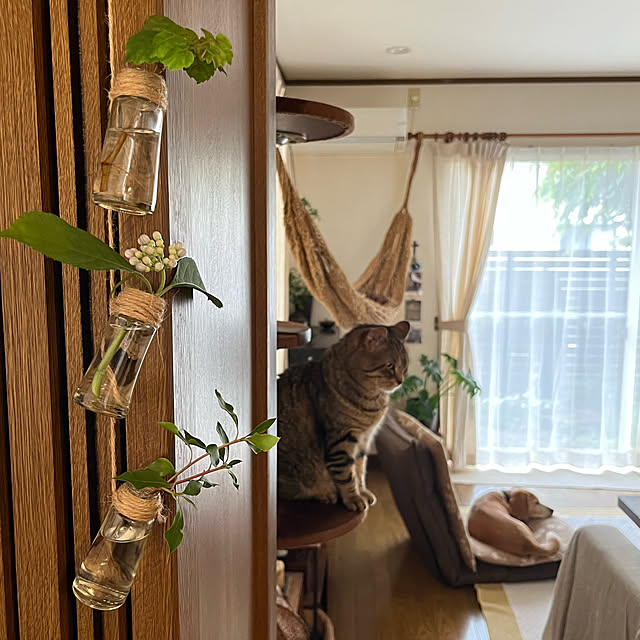 kuuさんの部屋