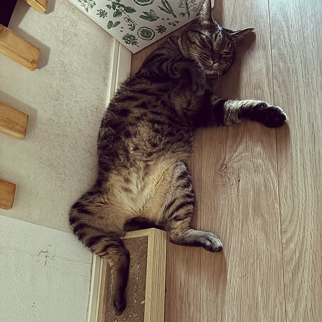 masamasaさんの実例写真