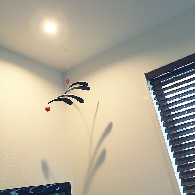 Ayaさんの実例写真