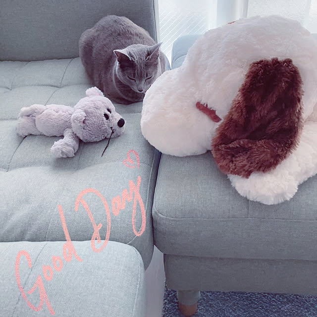 snoopyさんの実例写真
