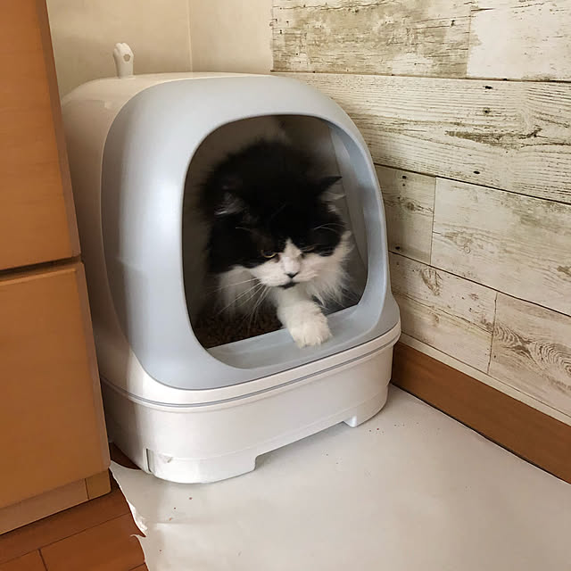 reonさんの実例写真