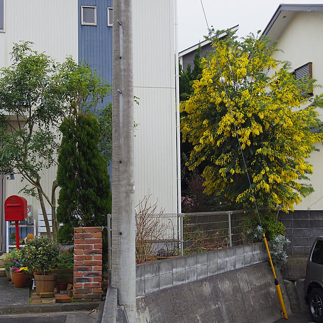 kohmarlさんの実例写真