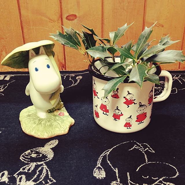 okeiさんの実例写真