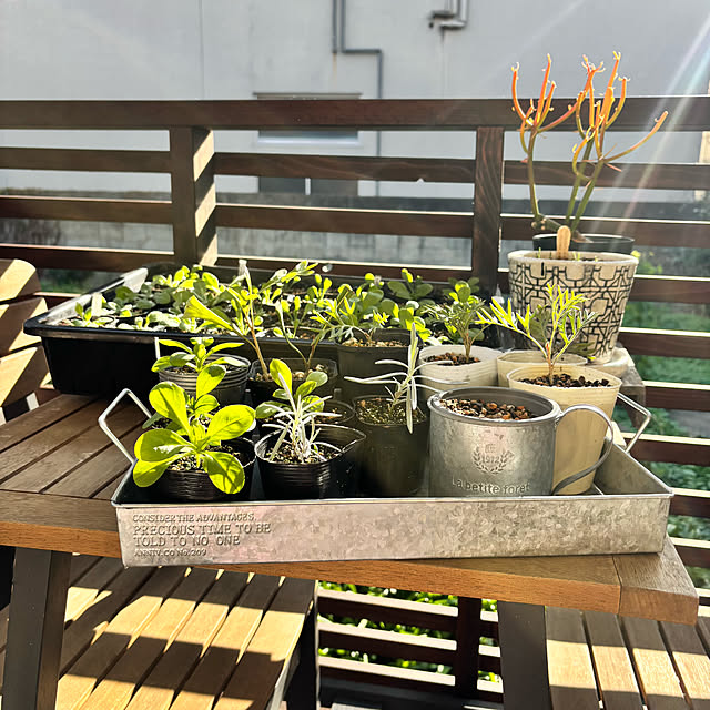 kyoko1124koさんの実例写真