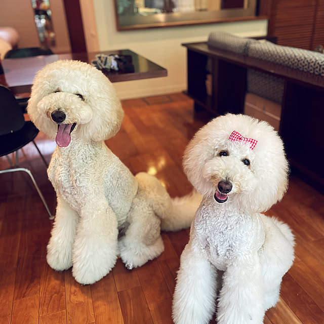 nackeyさんの実例写真