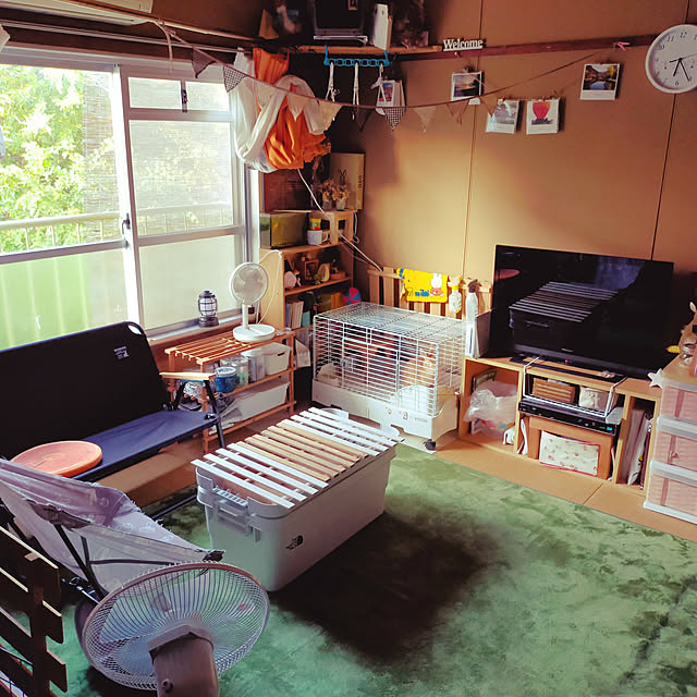 yk143さんの実例写真