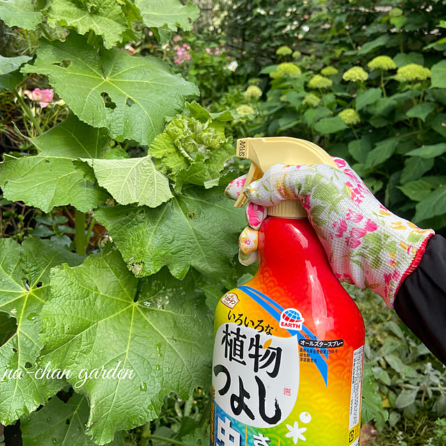 na-chanさんの実例写真