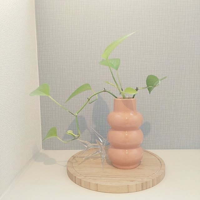 tan5さんの実例写真