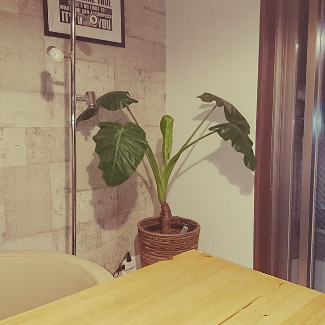 koooonoさんの実例写真