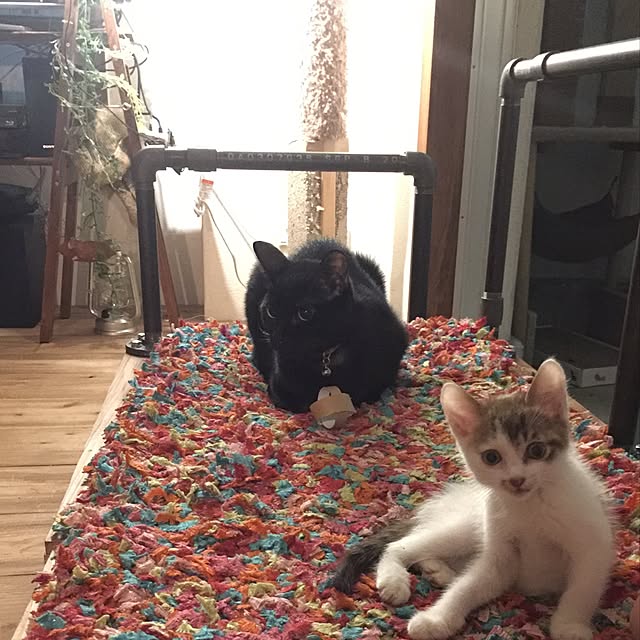 sumisumiさんの実例写真