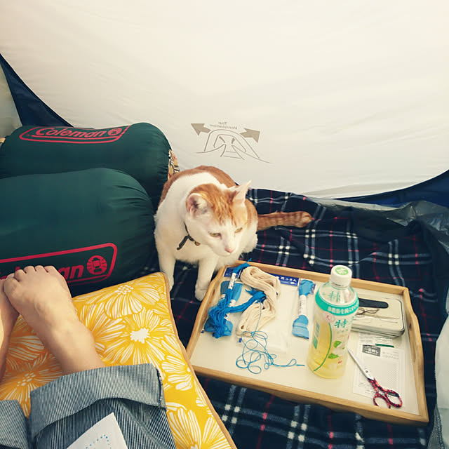 porinさんの実例写真