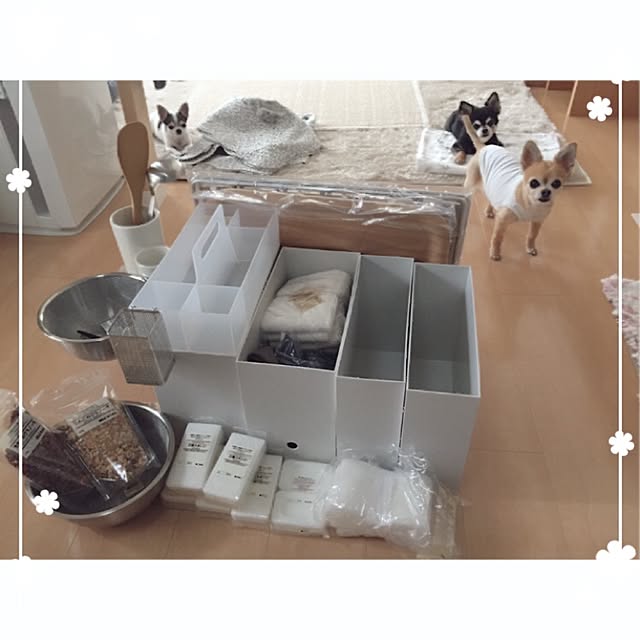 Emiさんの実例写真