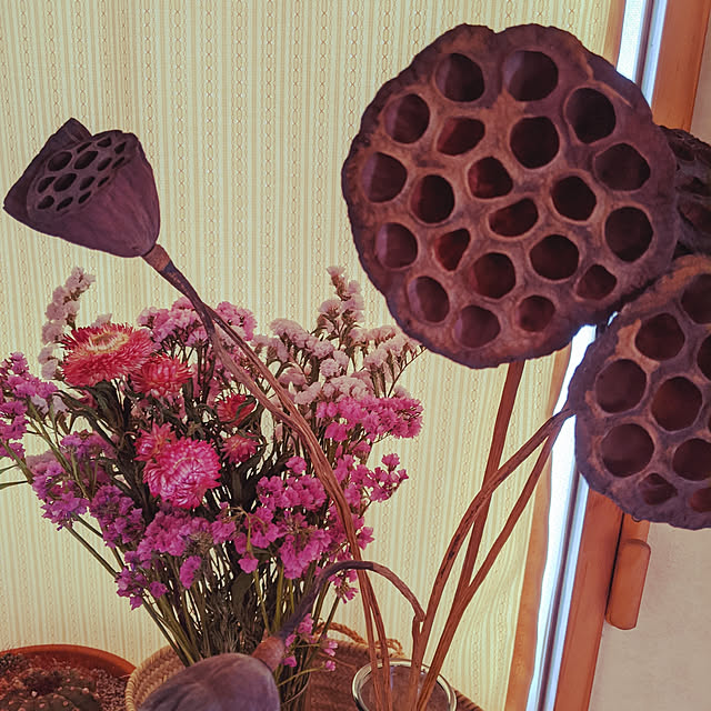 kouheiyuto24623takaさんの実例写真