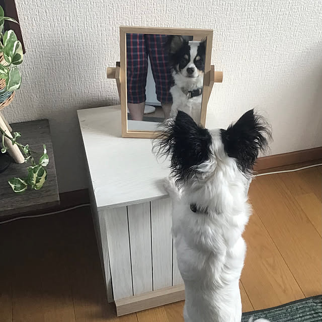 sakuさんの部屋
