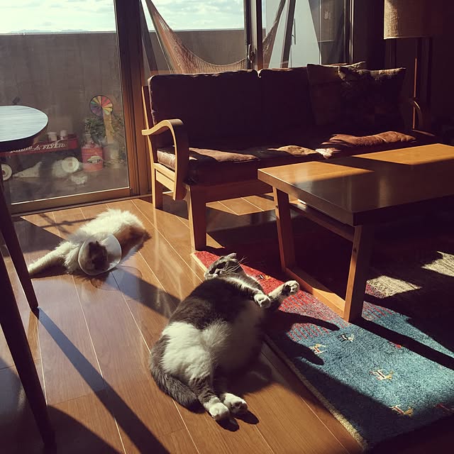 konaさんの実例写真