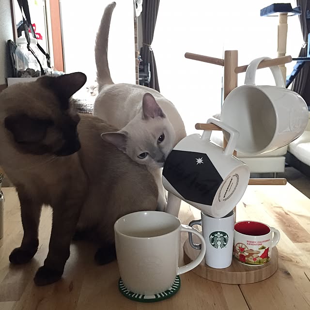monkeymajimajikさんの実例写真