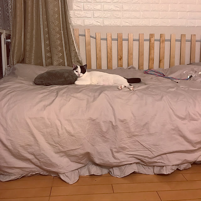chachaさんの実例写真