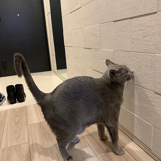 sayuuuさんの実例写真