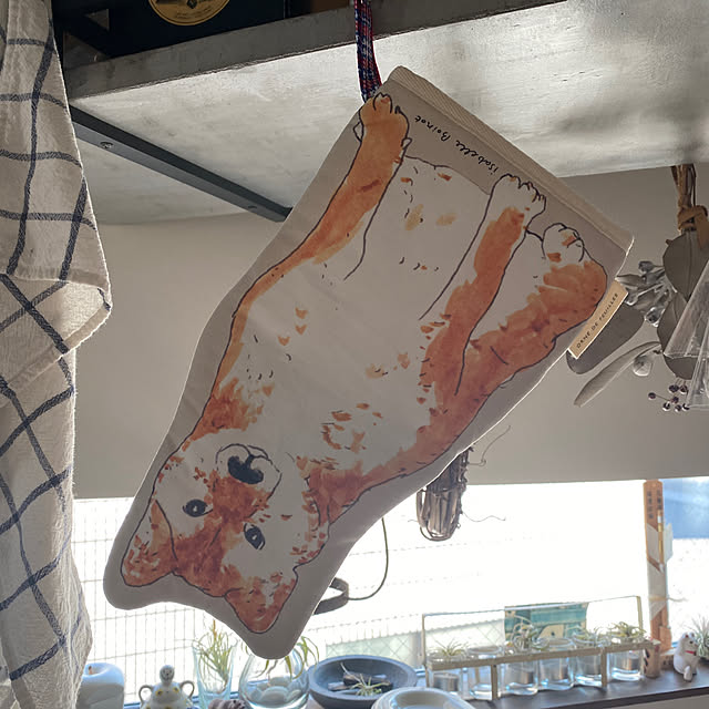 r_i_c_aさんの実例写真