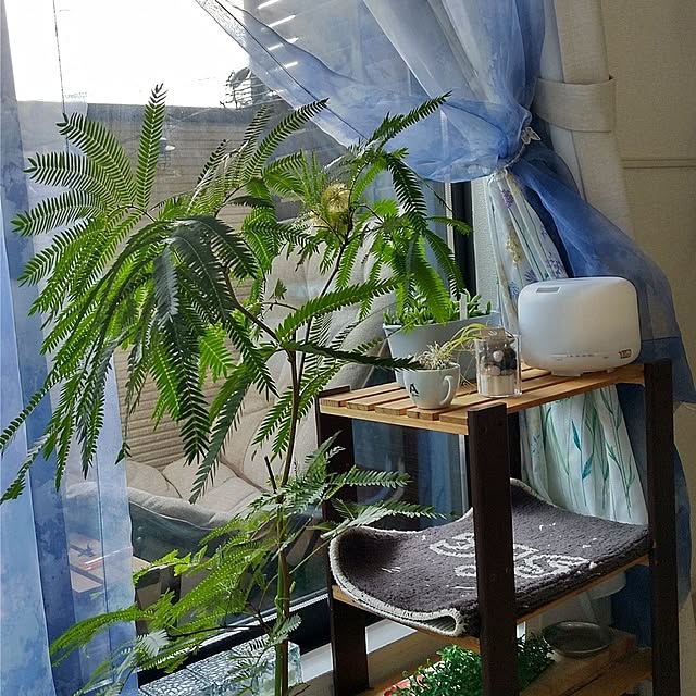 yuk.さんの部屋