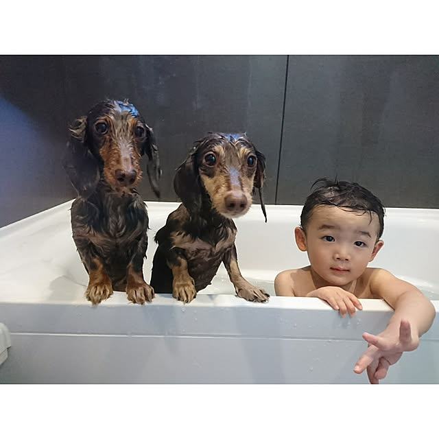 Akaneさんの実例写真