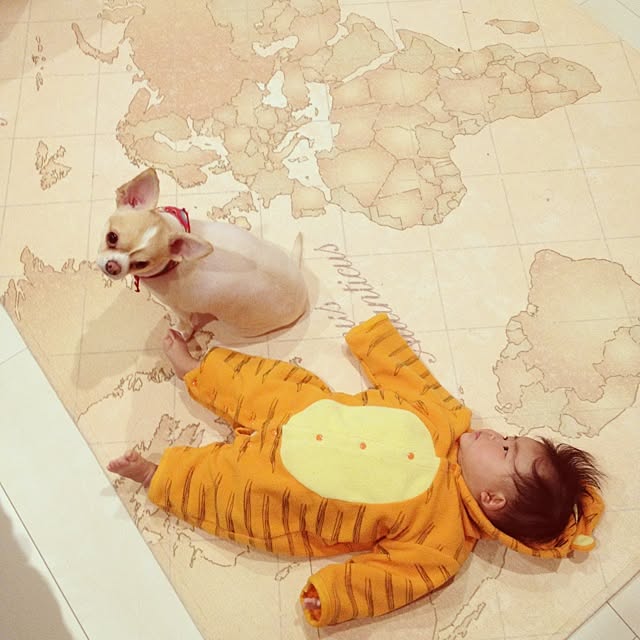 yupipiさんの実例写真