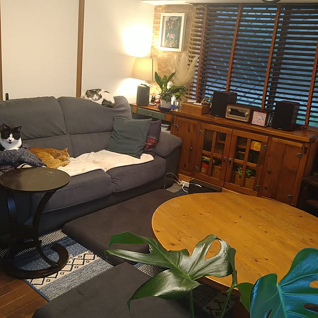 okyosan101さんの部屋