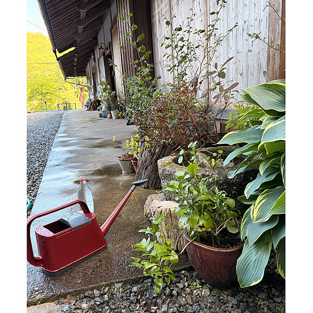cotaさんの部屋