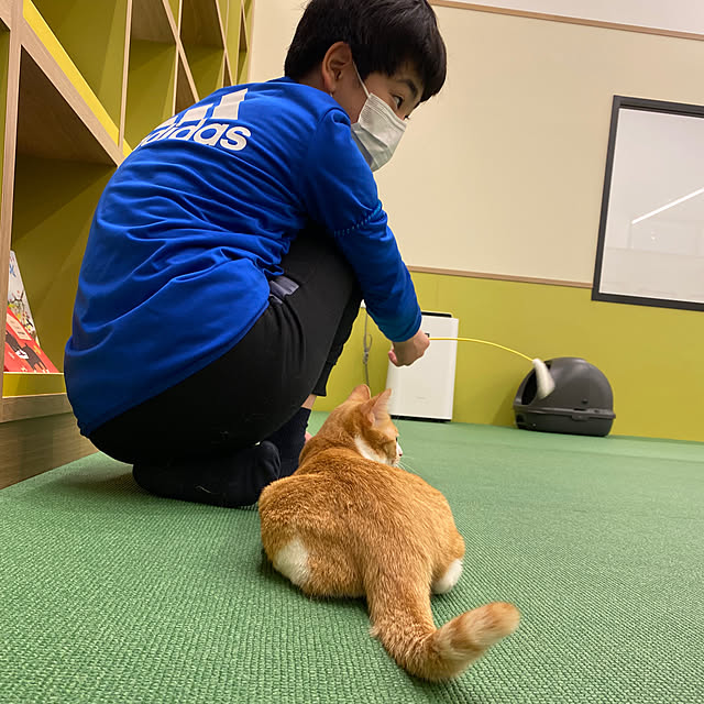 ohanaさんの部屋